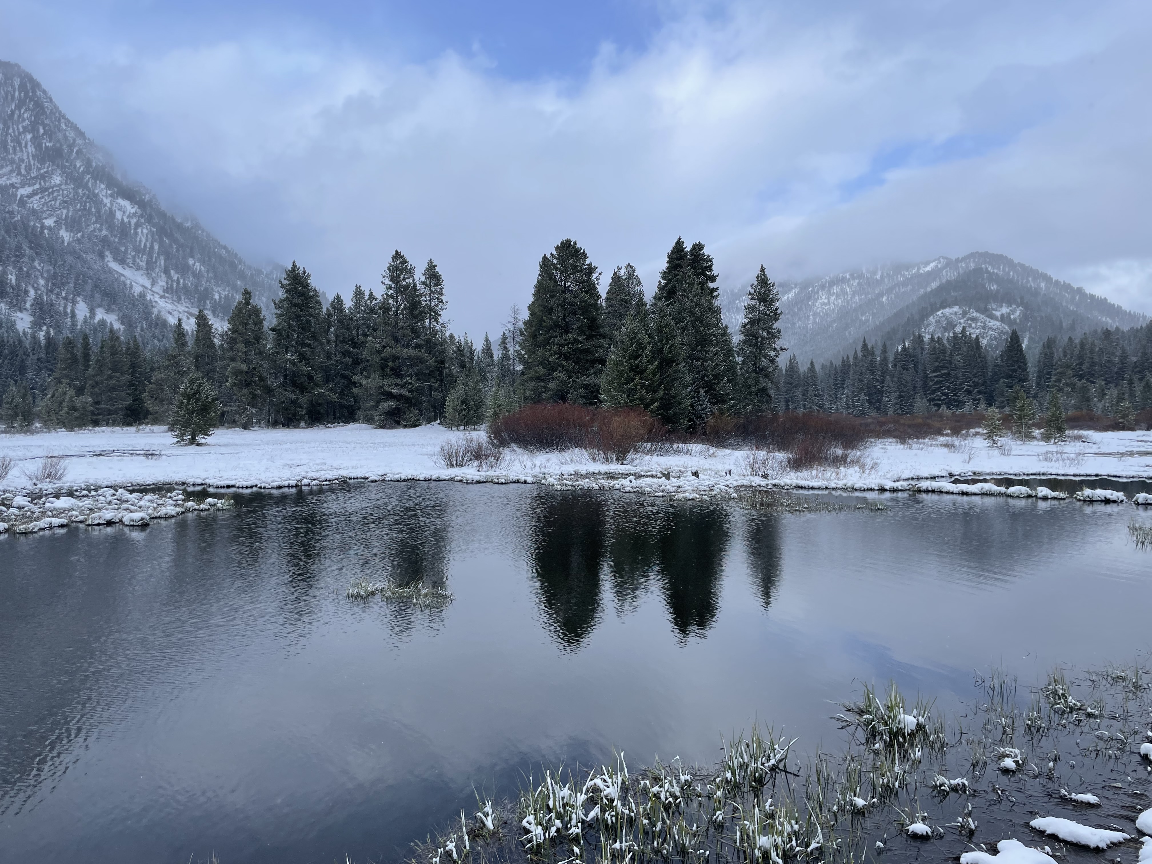 Yellowstone National Park: The Ultimate First-Time Visitor Guide